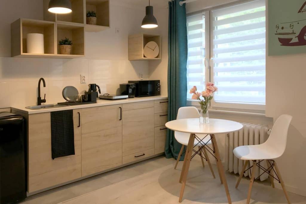 Apartament Nad Wisla, Spacerem Na Kazimierz, Wawel 克拉科夫 外观 照片